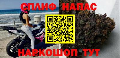 прущие грибы Пушкино