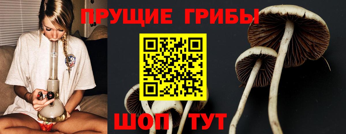 Орехово-Зуево  Псилоцибиновые грибы MAGIC MUSHROOMS  Вход с VPN 